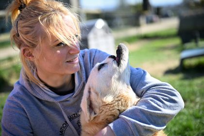 Normandie : un sanctuaire redonne une seconde vie aux animaux martyrisés