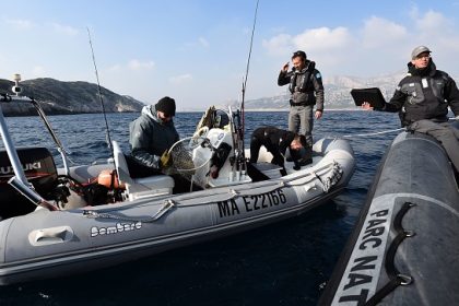 Braconnage : un influenceur, pêcheur-chasseur, condamné à de la prison ferme