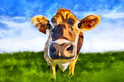 Ce que le fait de m&rsquo;allonger dans un pré au milieu des vaches m&rsquo;a appris sur la vie