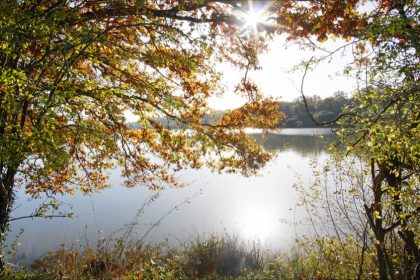 Forêt de Rambouillet : un père et son fils retrouvés morts dans un étang