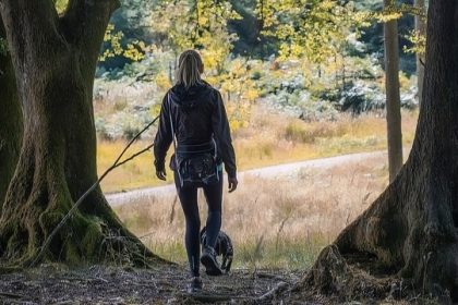 Depuis le 15 avril, vous devez obligatoirement tenir votre chien en laisse en forêt, sous peine d’écoper d’une amende