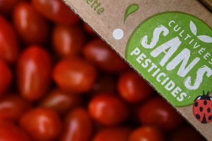 « Distorsion de concurrence » : le leader de la tomate Savéol plaide pour des droits de douane plus élevés pour les producteurs marocains