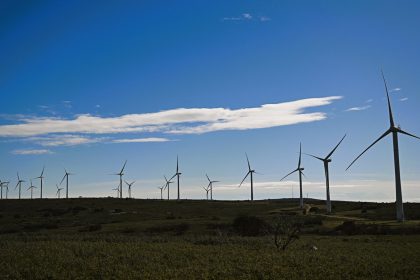 Hérault : un parc éolien arrêté pour un an par la justice, après la mort d’un aigle royal