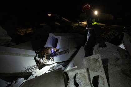 Les sapeurs français et leurs chiens : dans les décombres ou en montagne, ils se préparent pour sauver des vies