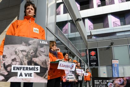 L214 amène des cadavres de porcelets devant un Leclerc parisien pour protester contre les conditions d&rsquo;élevage