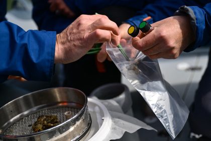 Sur le Rhône, à la recherche de microplastiques qui se fondent dans le vivant