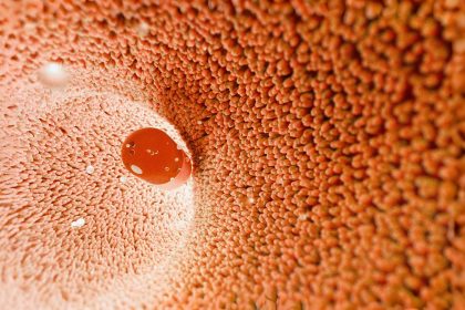 Une étude révèle que les bactéries intestinales pourraient réécrire certaines ordonnances