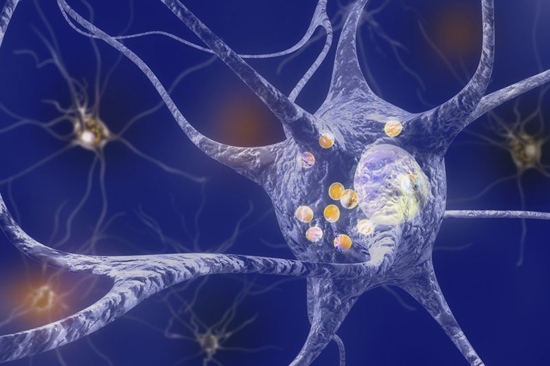 Cinq exercices ciblés pour aider à gérer la maladie de Parkinson (« Exercices faciles pour combattre les maladies chroniques », 2e partie)