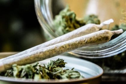 Les troubles liés à la consommation de cannabis sont associés à la psychose et à une activité dopaminergique élevée dans certaines régions du cerveau