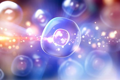 Nos cellules peuvent entendre des sons, la médecine y voit un potentiel