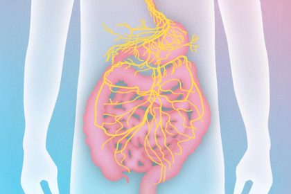 Se libérer des MICI (maladies inflammatoires chroniques de l&rsquo;intestin) en activant le nerf vague (« Exploiter l&rsquo;énergie du nerf vague » 8e partie)