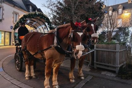 Polémique sur l&rsquo;utilisation des chevaux de traits dans une ville bretonne : « Maltraiter Ulysse, Havane et Gladez ? Vraiment ? » répond la commune
