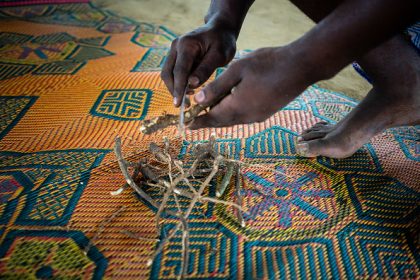 L&rsquo;iboga, plante sacrée et remède ancestral, parviendra-t-elle à dynamiser l&rsquo;économie du Gabon ?