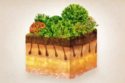 Quel type de nourriture favorise la croissance des cheveux ?