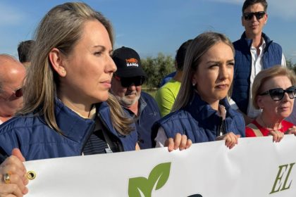 Abattage massif d&rsquo;oliviers centenaires en Andalousie : « Les énergies renouvelables oui, mais pas comme ça », alerte Natalia Corbalán
