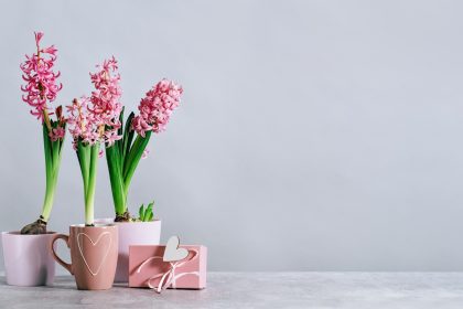 Des fleurs pour la fête des mères