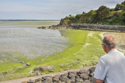 Algues vertes : la justice établit un lien avec le décès d’un joggeur et condamne l’État