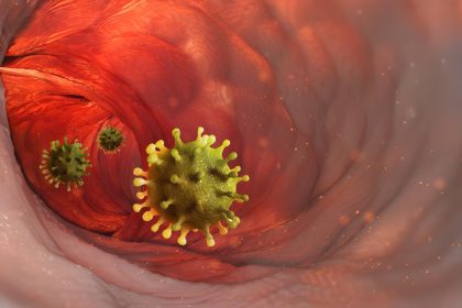 L&rsquo;OMS annonce que le XFG est un « nouveau variant du Covid sous surveillance »