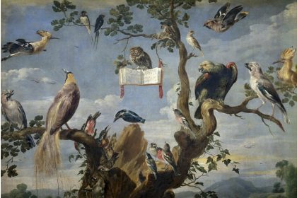 La symphonie matinale des oiseaux, bien plus qu’une mélodie
