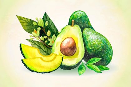 L&rsquo;avocat protège le cœur, le cerveau et les yeux – voici comment maximiser ses bienfaits