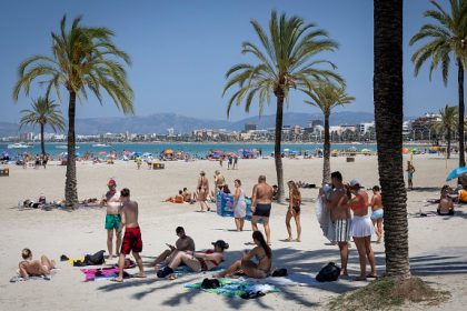 « Je n’avais jamais rien vu de tel sur cette plage » : une femme de 85 ans mordue par un mystérieux poisson à Majorque