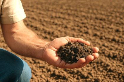 Espagne : le monde rural réclame des réglementations urgentes pour empêcher les énergies renouvelables d&rsquo;occuper des terres agricoles productives