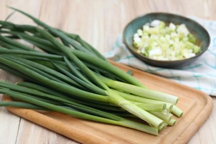 Comment renforcer l’énergie vitale du corps pour stimuler l’immunité