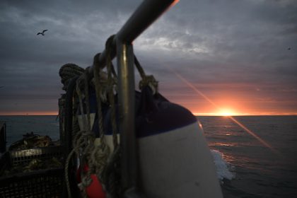 Normandie : un suspect clé relâché pour vice de procédure malgré la saisie de 630 kg de cocaïne