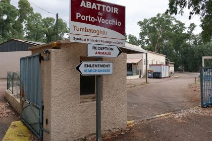 Corse : suspension de l&rsquo;abattoir de Porto-Vecchio après une enquête de L214