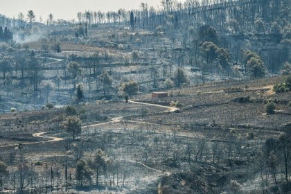 « Je n’ai pas ressenti de peur » : deux adolescents protègent la maison de leurs voisins de l’incendie