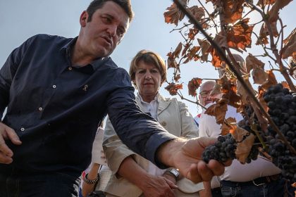 « Beaucoup ont tout perdu » : un fonds d&rsquo;urgence de 8 millions d&rsquo;euros en faveur des agriculteurs sinistrés de l&rsquo;Aude