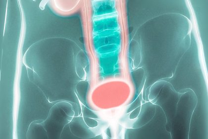 Miction : le rôle clé de la moelle épinière enfin dévoilé