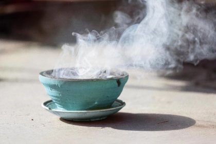 Comment se protéger du chikungunya avec des remèdes naturels