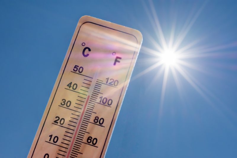 Pic de chaleur à plus de 40°C attendu dans le Sud-Ouest cette semaine