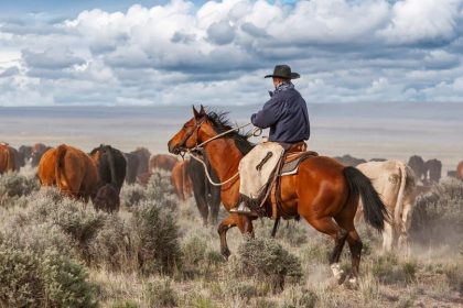 Le code des cow-boys : dix principes pour mener sa vie