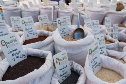 Ils semblent naturels, mais ils ne le sont pas : l&rsquo;UE veut retirer l&rsquo;étiquette OGM des légumes et des céréales contenant jusqu&rsquo;à 20 mutations génétiques