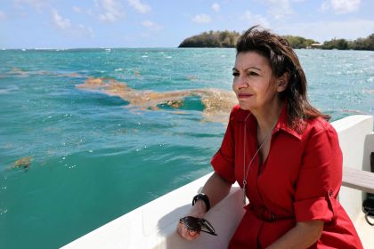 Anne Hidalgo porte plainte contre X après les révélations de Transparence citoyenne sur ses notes de frais