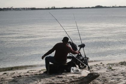 Pêche de loisir : vous allez être obligé de déclarer vos merlus, bars, thons rouges et dorades dès 2026