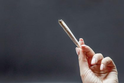 Le cannabis nuit à la qualité des ovocytes humains, selon une étude