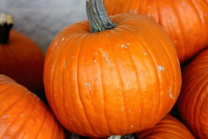 Les bienfaits de la citrouille