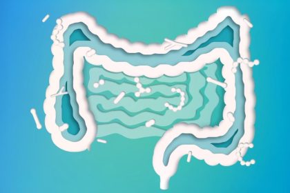 Microbiote intestinal : comment les bactéries influencent votre énergie, vos envies et votre poids