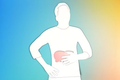 Le rôle vital du foie : moteur clé de la santé métabolique