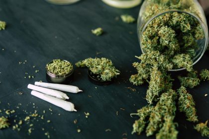 Cannabis à forte teneur en THC : un risque immédiat de psychose et d’addiction
