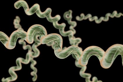 Un vieil antibiotique pourrait révolutionner le traitement de la maladie de Lyme