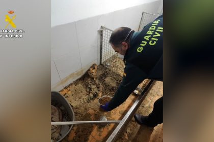 250 animaux morts retrouvés dans un centre insalubre en Espagne