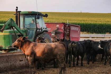 Et si l’on sauvait nos fermes comme on sauve nos banques ?