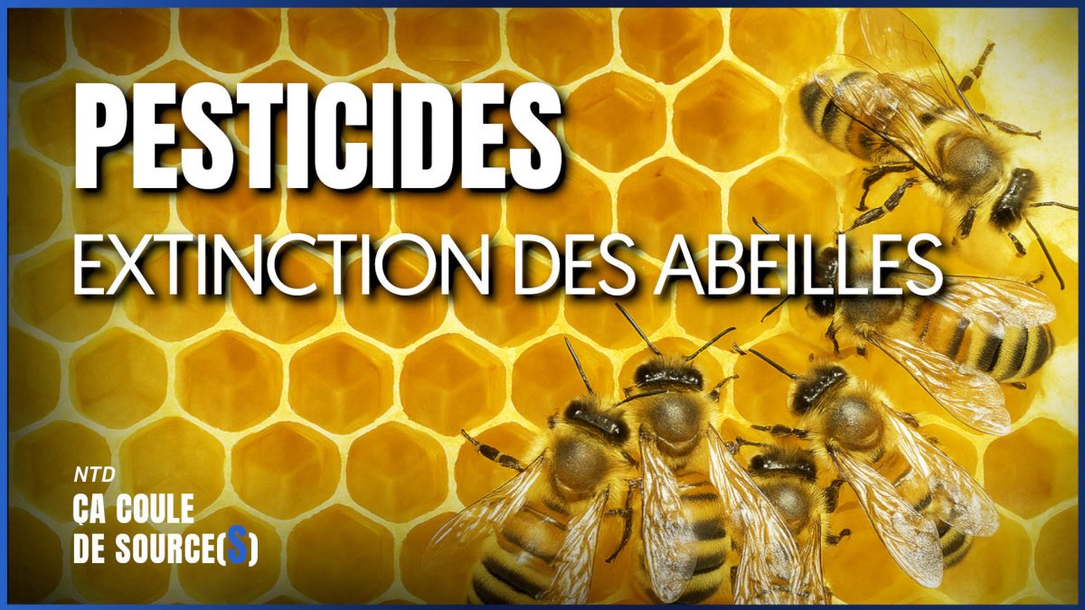 La machine implacable des lobbies qui sacrifie le vivant sur l’autel des profits