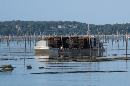 Des WC sur les bateaux à huîtres : une mesure qui exaspère les ostréiculteurs