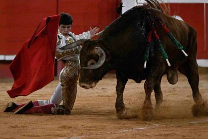Hérault : la cour d’appel confirme l’interdiction de la corrida à Pérols
