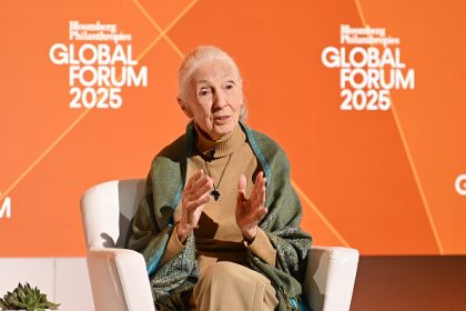 La célèbre primatologue Jane Goodall s’est éteinte à 91 ans 